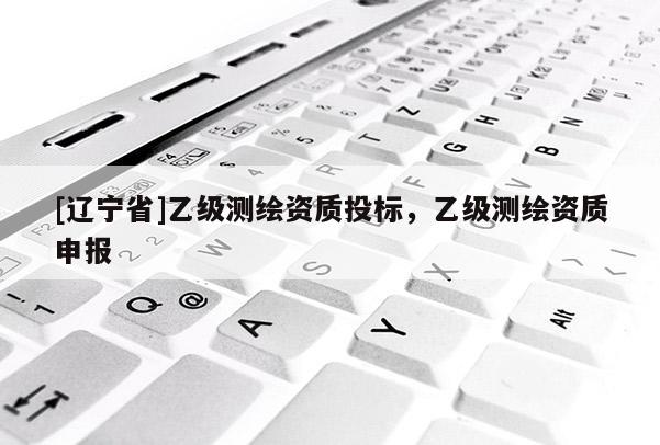 [辽宁省]乙级测绘资质投标，乙级测绘资质申报