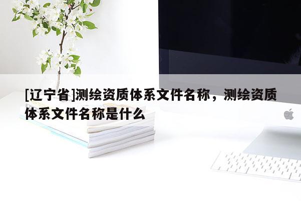 [辽宁省]测绘资质体系文件名称，测绘资质体系文件名称是什么