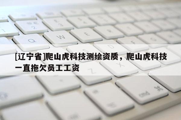 [辽宁省]爬山虎科技测绘资质，爬山虎科技一直拖欠员工工资
