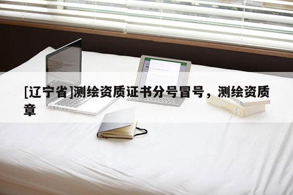 [辽宁省]测绘资质证书分号冒号，测绘资质章