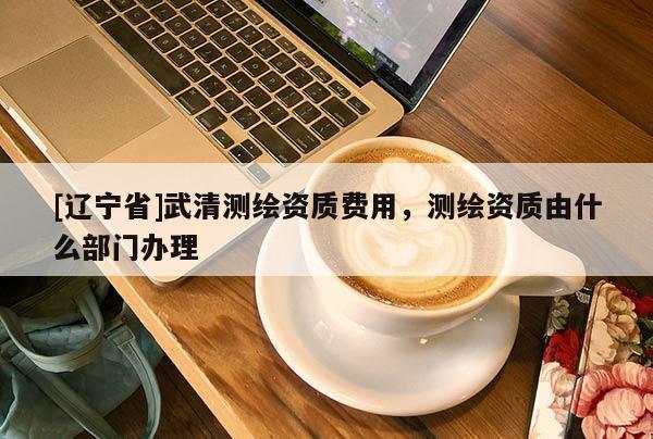 [辽宁省]武清测绘资质费用，测绘资质由什么部门办理