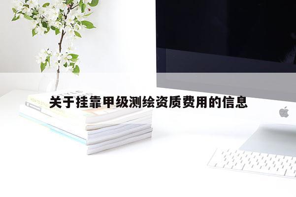 关于挂靠甲级测绘资质费用的信息