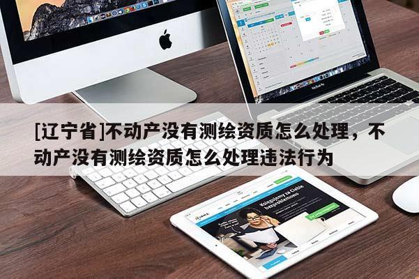 [辽宁省]不动产没有测绘资质怎么处理，不动产没有测绘资质怎么处理违法行为