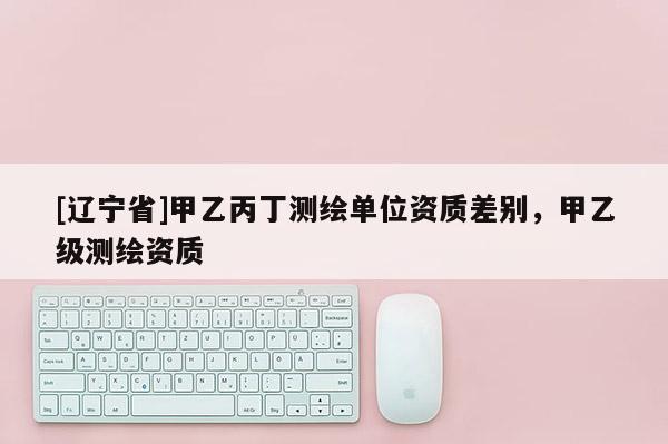 [辽宁省]甲乙丙丁测绘单位资质差别，甲乙级测绘资质