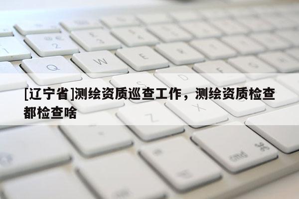 [辽宁省]测绘资质巡查工作，测绘资质检查都检查啥
