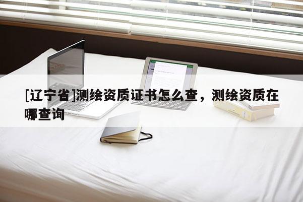 [辽宁省]测绘资质证书怎么查，测绘资质在哪查询