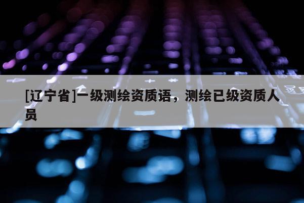 [辽宁省]一级测绘资质语，测绘已级资质人员