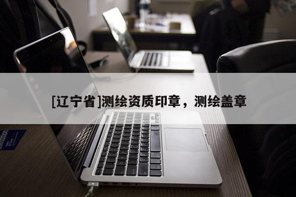 [辽宁省]测绘资质印章，测绘盖章