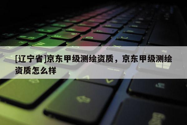 [辽宁省]京东甲级测绘资质，京东甲级测绘资质怎么样