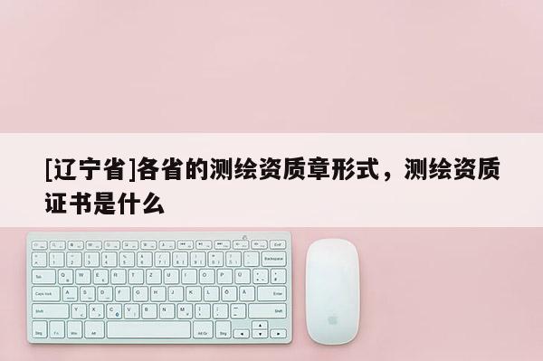 [辽宁省]各省的测绘资质章形式，测绘资质证书是什么