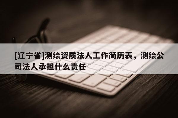 [辽宁省]测绘资质法人工作简历表，测绘公司法人承担什么责任