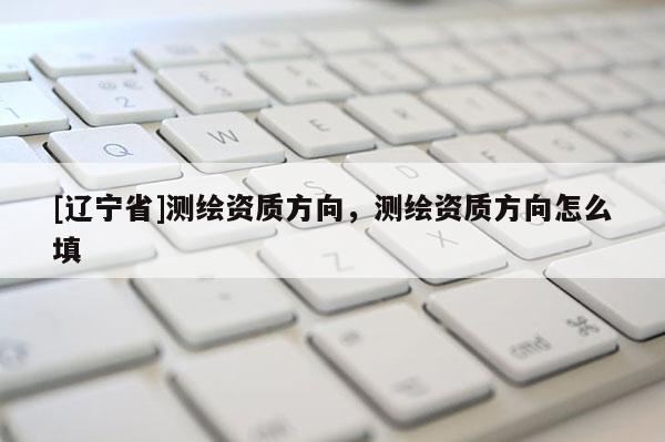 [辽宁省]测绘资质方向，测绘资质方向怎么填