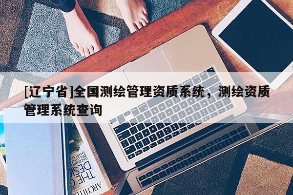 [辽宁省]全国测绘管理资质系统，测绘资质管理系统查询