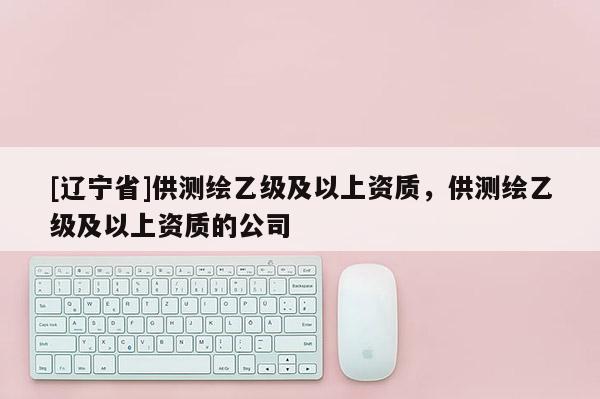 [辽宁省]供测绘乙级及以上资质，供测绘乙级及以上资质的公司