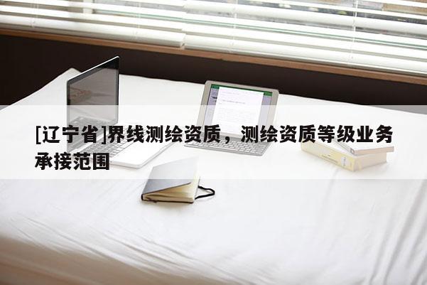 [辽宁省]界线测绘资质，测绘资质等级业务承接范围