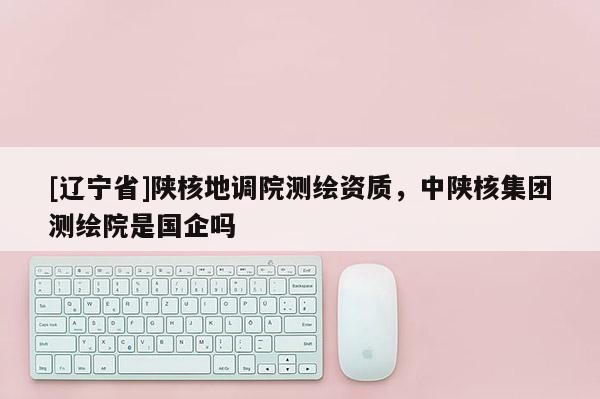 [辽宁省]陕核地调院测绘资质，中陕核集团测绘院是国企吗