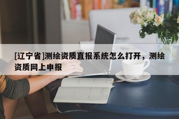 [辽宁省]测绘资质直报系统怎么打开，测绘资质网上申报