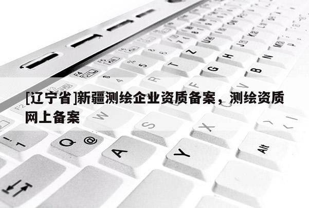 [辽宁省]新疆测绘企业资质备案，测绘资质网上备案