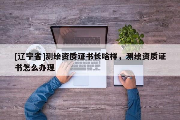 [辽宁省]测绘资质证书长啥样，测绘资质证书怎么办理