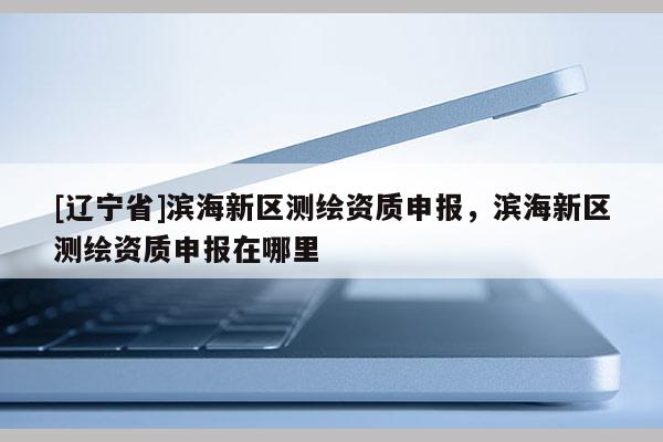 [辽宁省]滨海新区测绘资质申报，滨海新区测绘资质申报在哪里