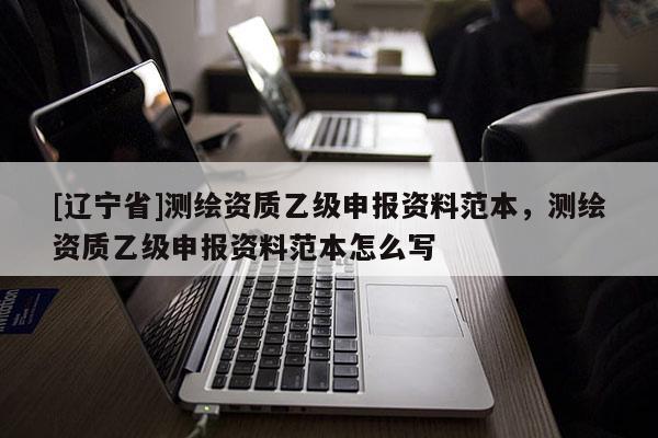[辽宁省]测绘资质乙级申报资料范本，测绘资质乙级申报资料范本怎么写