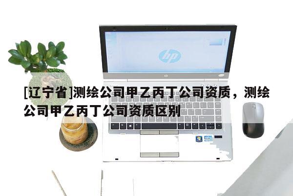 [辽宁省]测绘公司甲乙丙丁公司资质，测绘公司甲乙丙丁公司资质区别