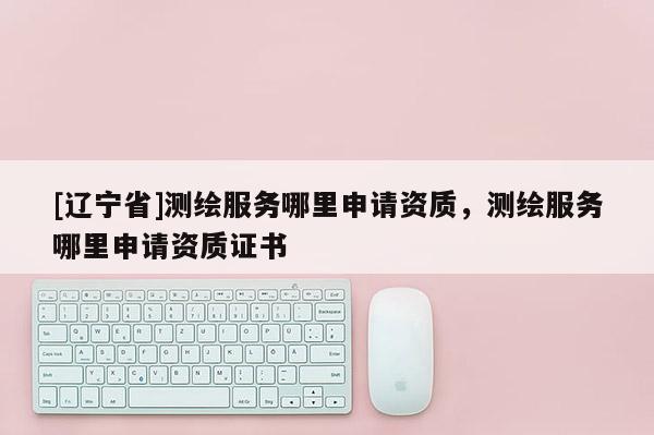 [辽宁省]测绘服务哪里申请资质，测绘服务哪里申请资质证书