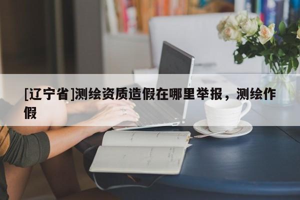 [辽宁省]测绘资质造假在哪里举报，测绘作假