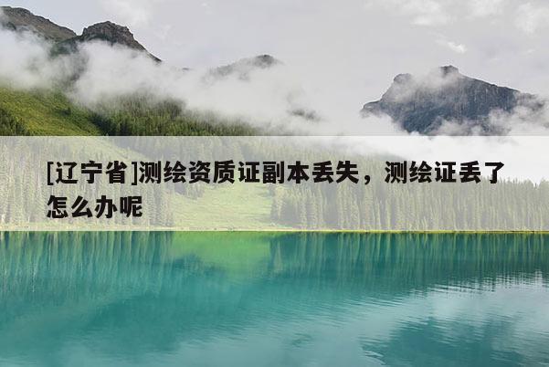 [辽宁省]测绘资质证副本丢失，测绘证丢了怎么办呢