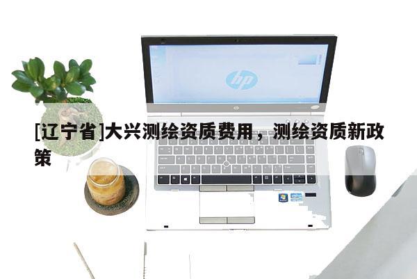 [辽宁省]大兴测绘资质费用，测绘资质新政策