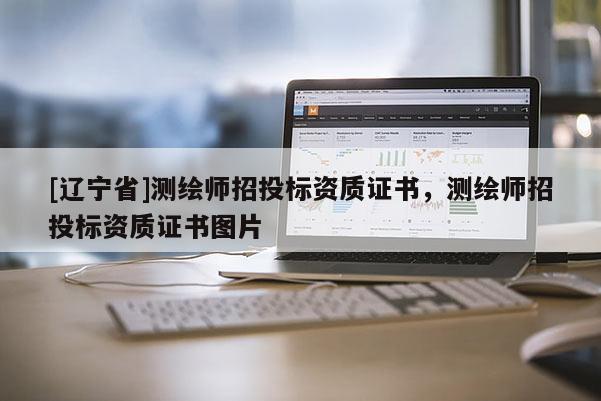 [辽宁省]测绘师招投标资质证书，测绘师招投标资质证书图片