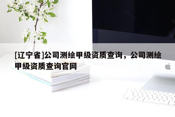 [辽宁省]公司测绘甲级资质查询，公司测绘甲级资质查询官网
