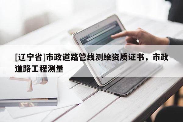 [辽宁省]市政道路管线测绘资质证书，市政道路工程测量