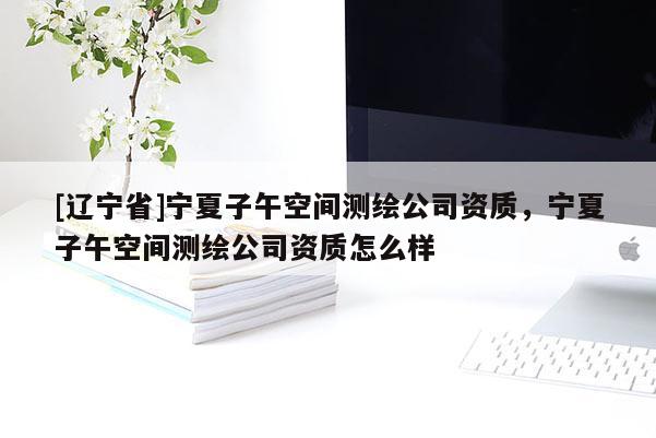 [辽宁省]宁夏子午空间测绘公司资质，宁夏子午空间测绘公司资质怎么样