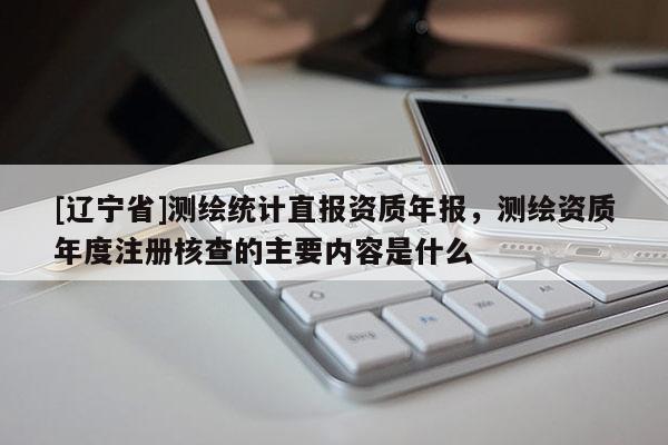 [辽宁省]测绘统计直报资质年报，测绘资质年度注册核查的主要内容是什么