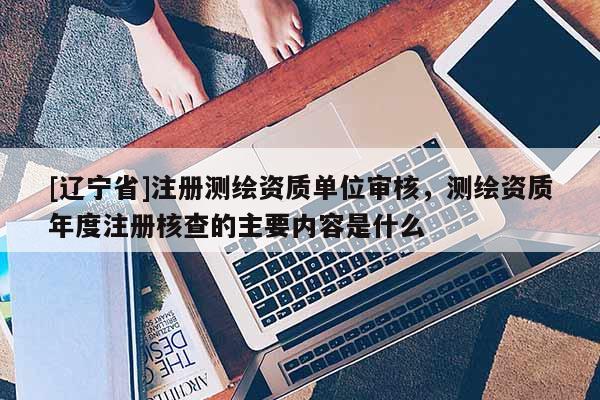 [辽宁省]注册测绘资质单位审核，测绘资质年度注册核查的主要内容是什么