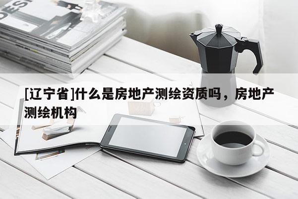 [辽宁省]什么是房地产测绘资质吗，房地产测绘机构