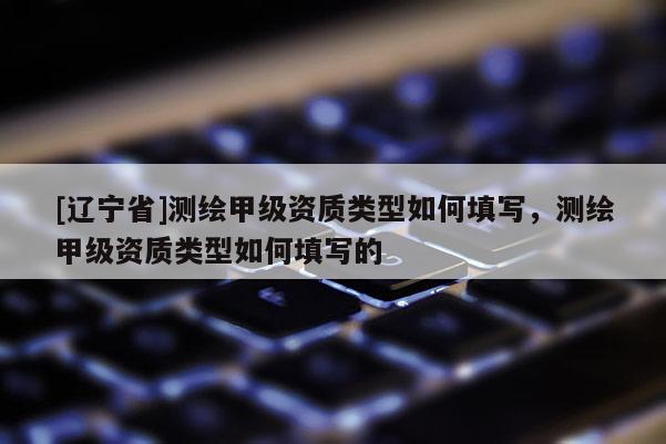 [辽宁省]测绘甲级资质类型如何填写，测绘甲级资质类型如何填写的