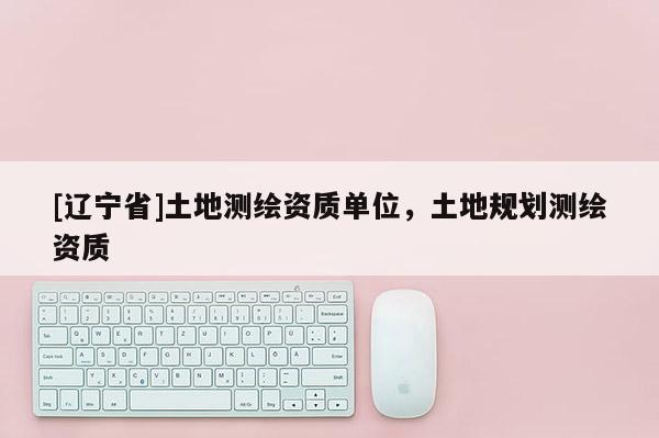 [辽宁省]土地测绘资质单位，土地规划测绘资质