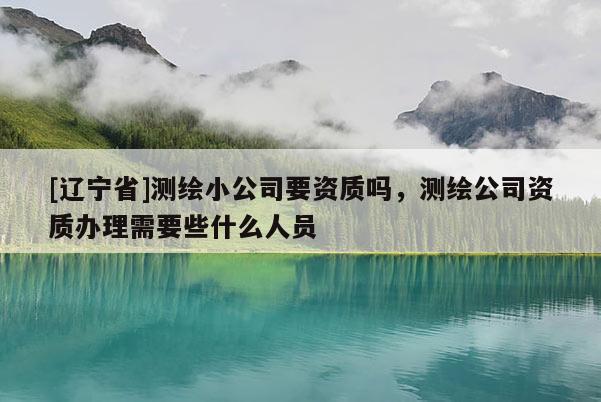 [辽宁省]测绘小公司要资质吗，测绘公司资质办理需要些什么人员