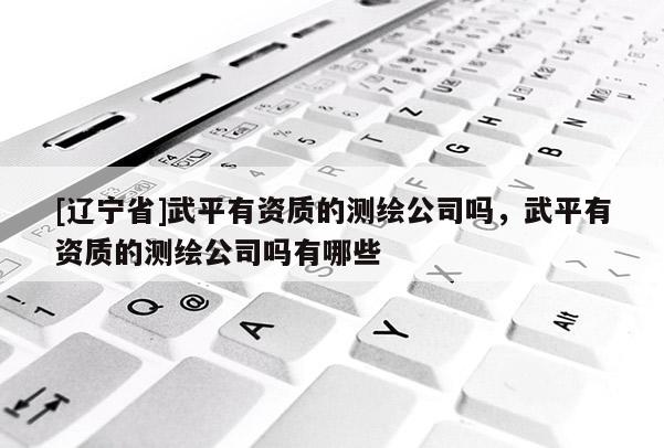 [辽宁省]武平有资质的测绘公司吗，武平有资质的测绘公司吗有哪些