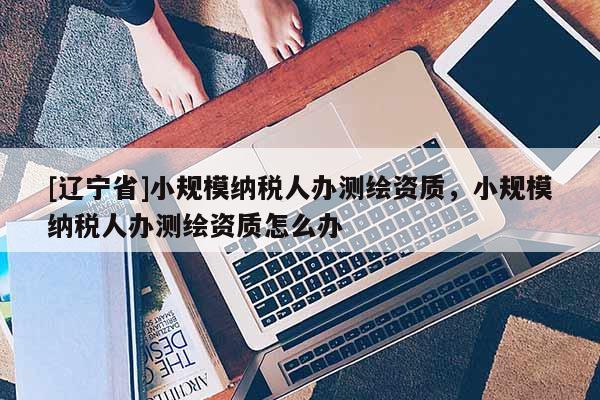 [辽宁省]小规模纳税人办测绘资质，小规模纳税人办测绘资质怎么办
