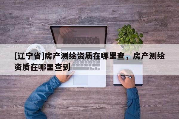 [辽宁省]房产测绘资质在哪里查，房产测绘资质在哪里查到