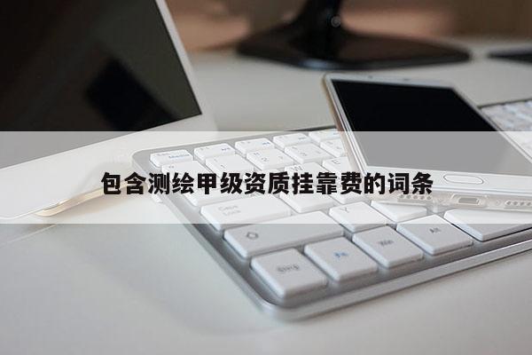 包含测绘甲级资质挂靠费的词条