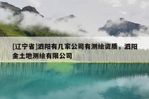 [辽宁省]泗阳有几家公司有测绘资质，泗阳金土地测绘有限公司