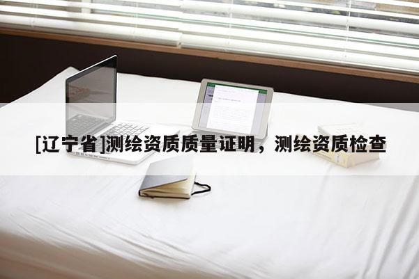 [辽宁省]测绘资质质量证明，测绘资质检查
