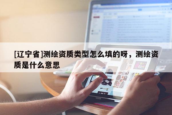 [辽宁省]测绘资质类型怎么填的呀，测绘资质是什么意思