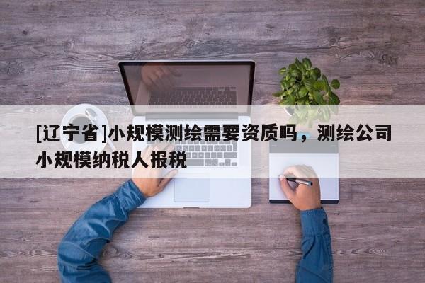 [辽宁省]小规模测绘需要资质吗，测绘公司小规模纳税人报税
