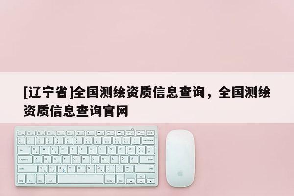 [辽宁省]全国测绘资质信息查询，全国测绘资质信息查询官网