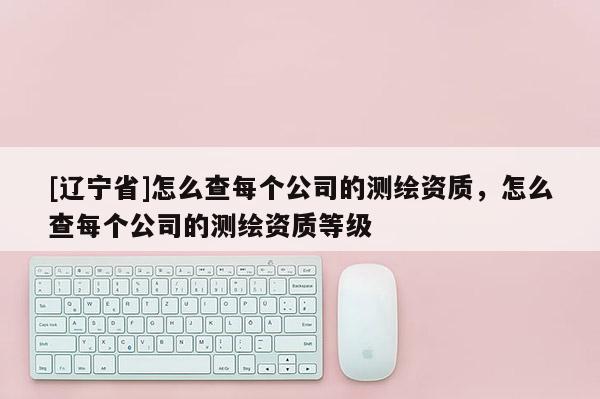[辽宁省]怎么查每个公司的测绘资质，怎么查每个公司的测绘资质等级
